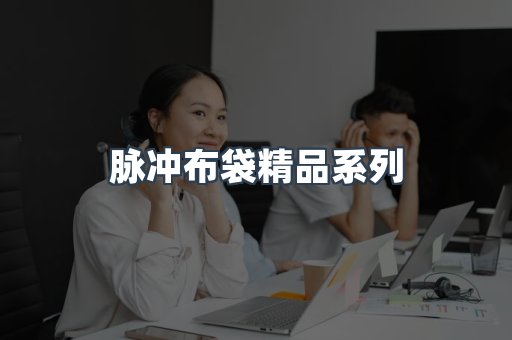 脉冲布袋精品系列